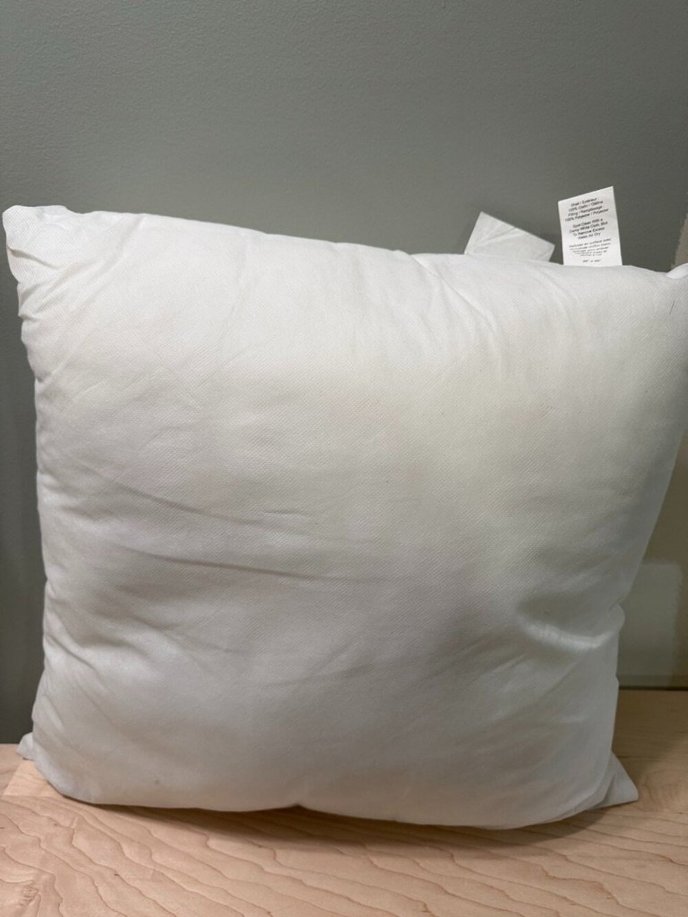 20x20 Pottery Barn Kids Pillow Insert NO COVER
